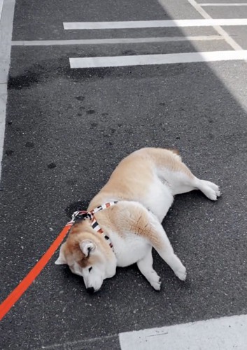 「チキンはまだなの…」