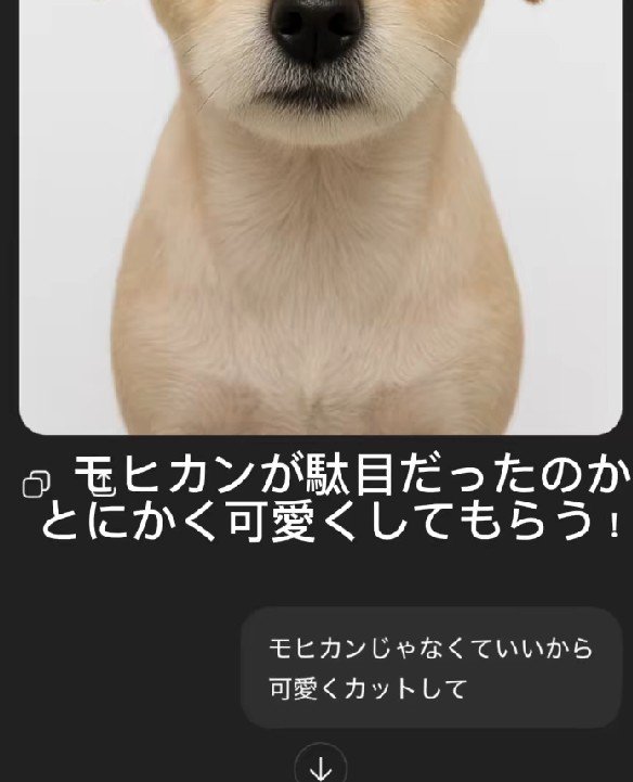 「とりあえず可愛くカットして」