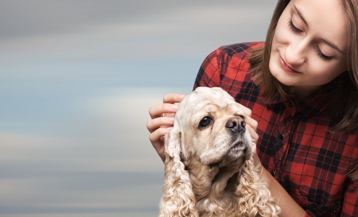 犬と女性