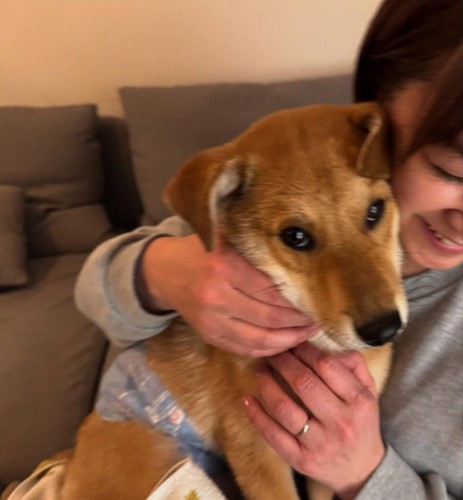 風ちゃんとの出会い3