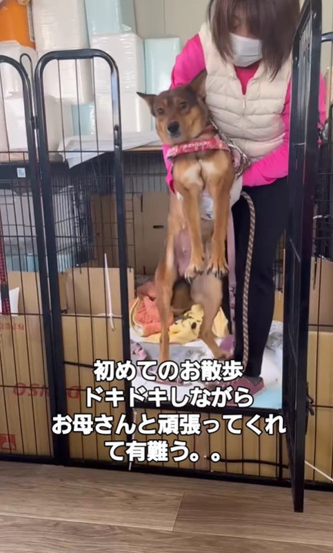 幸せを掴んだいっちゃん＆アロマちゃん5