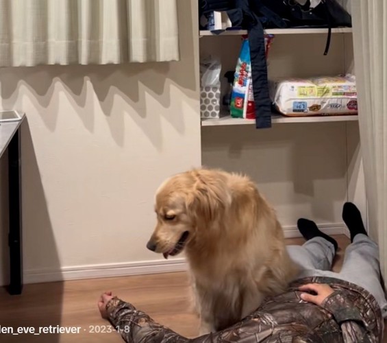 心配するイヴちゃん