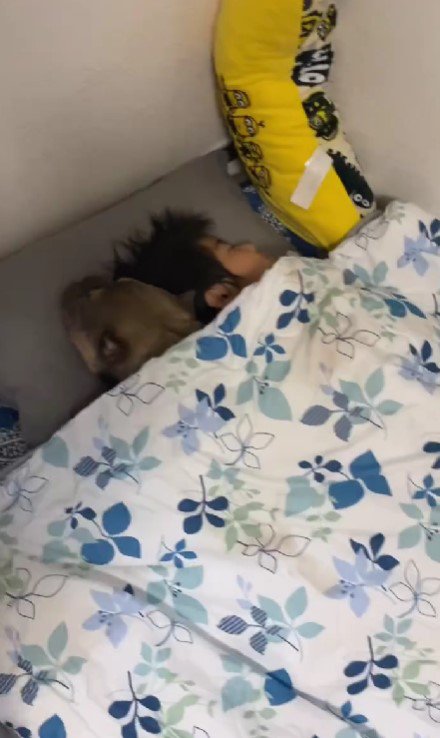 仲良く並んで眠る2人