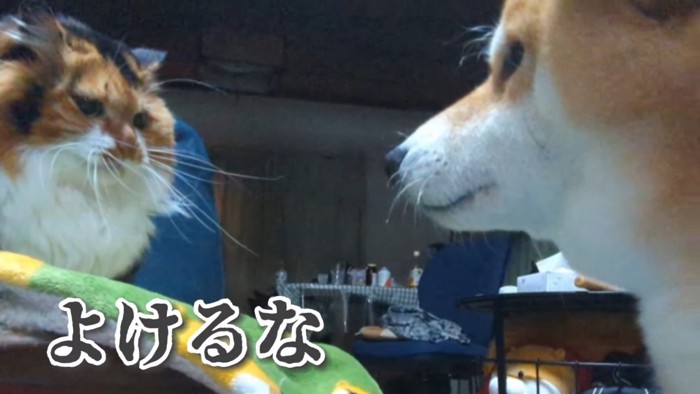 気まずい空気…!