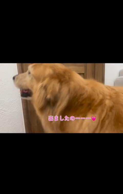 雷が怖いハルちゃん、お父さんが帰宅したら…9