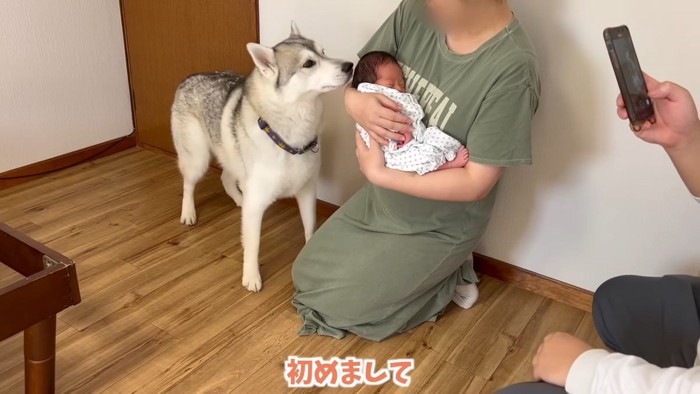 「初めまして」