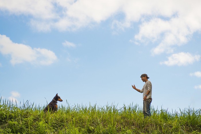 犬を呼ぶ男性