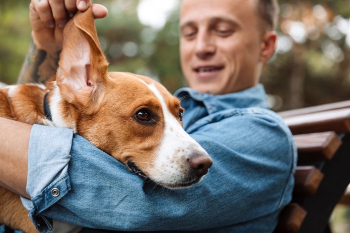 男性の腕にあごをのせる犬