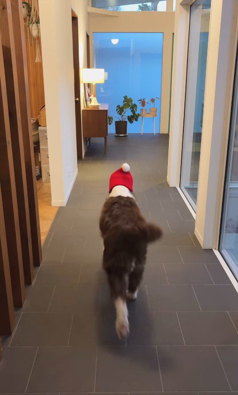 サンタごっこをするププくんと女の子3