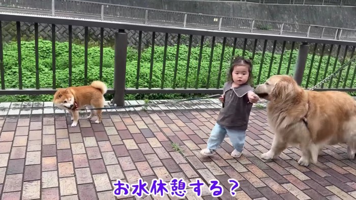 お水の時間になると…