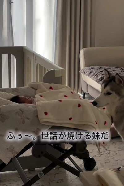 息をしているかチェック！