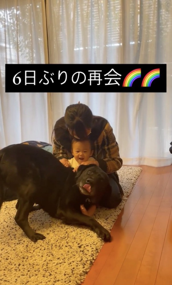 赤ちゃんにピタッ