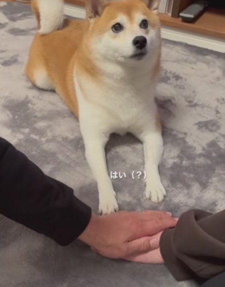 チャレンジ成功