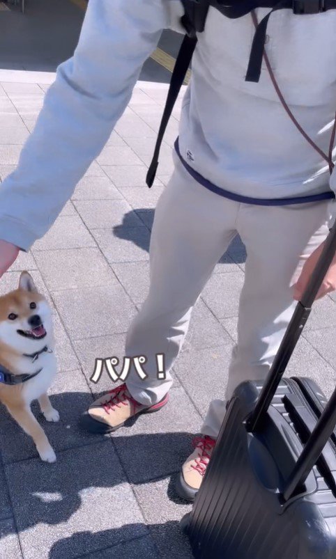 紋次郎くんとお父さんの再会7