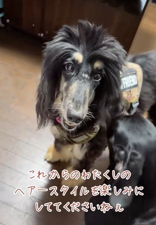 今後のヘアスタイルに乞うご期待！