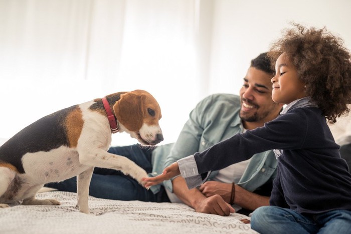 お手をする犬と子供とお父さん