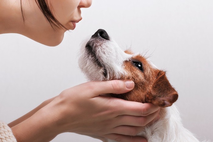 犬と女性