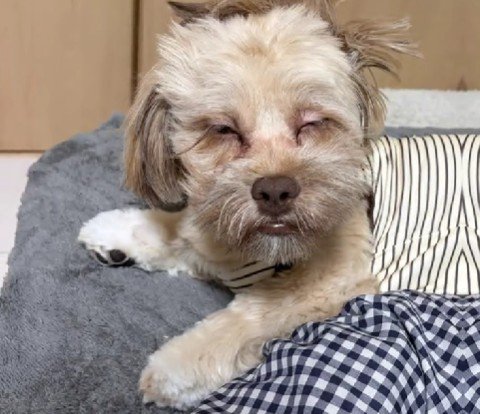 寝癖のすごさも天下一品