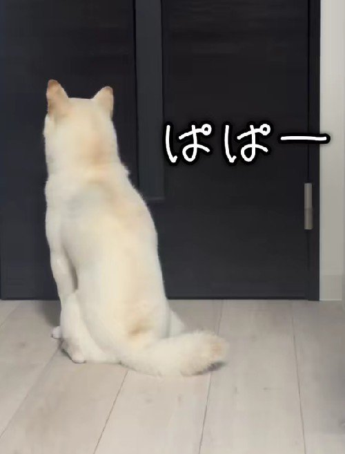 「パパ…」