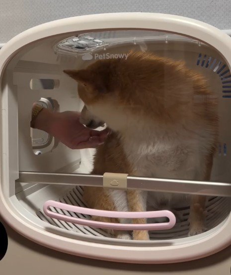 投稿主さんが宥める