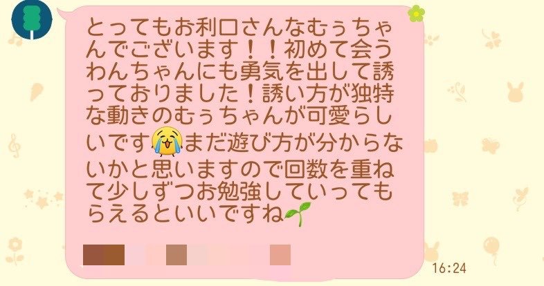 中間報告