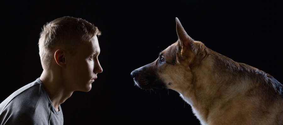 暗闇で見つめあう男性と犬