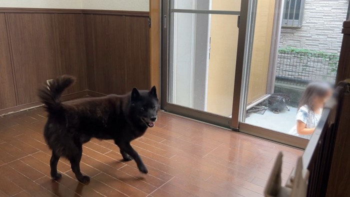 嬉しくて部屋の中をぐるぐる♪