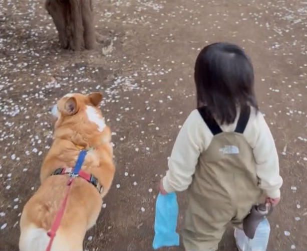 散歩する犬と女の子
