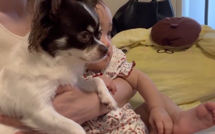 そっくりな双子のよう