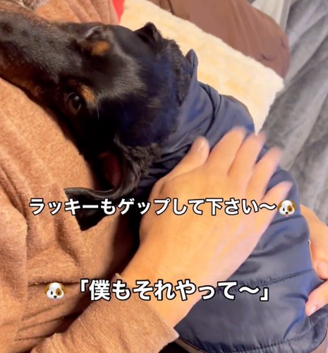 甘えん坊な犬