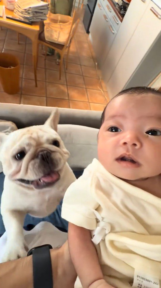 赤ちゃんに視線を送りながら飼い主の足に飛びつく犬