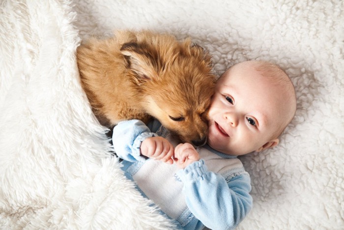 いっしょに寝ている赤ちゃんと犬