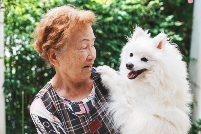 シニア女性と犬