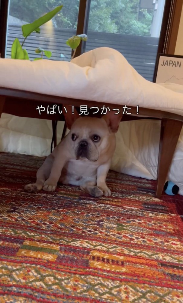 見つかった