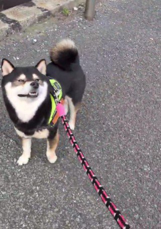 「そろそろ春かな？」