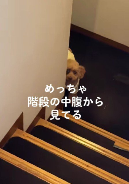 家族を覗き見！！