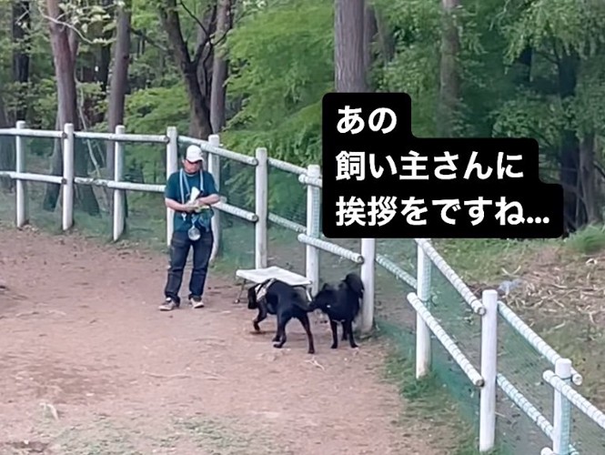 相手のわんこを避けるように人へ…