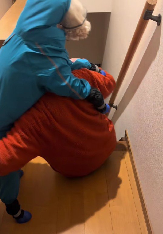 愛犬のさんでぃーちゃんでした!!