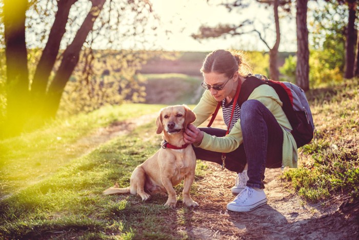 愛犬についたダニを見つけた飼い主の女性