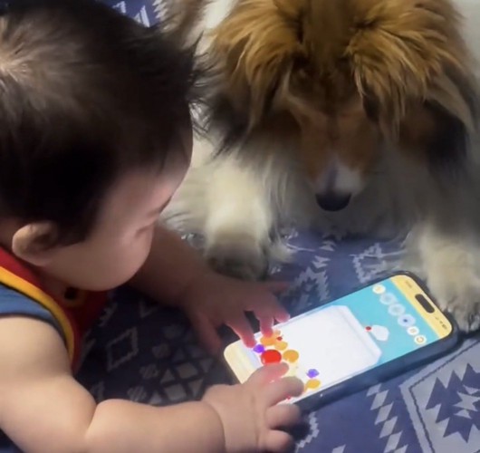 ゲームを楽しむ赤ちゃんを見守る犬