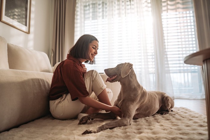 マットの上で犬と過ごす女性