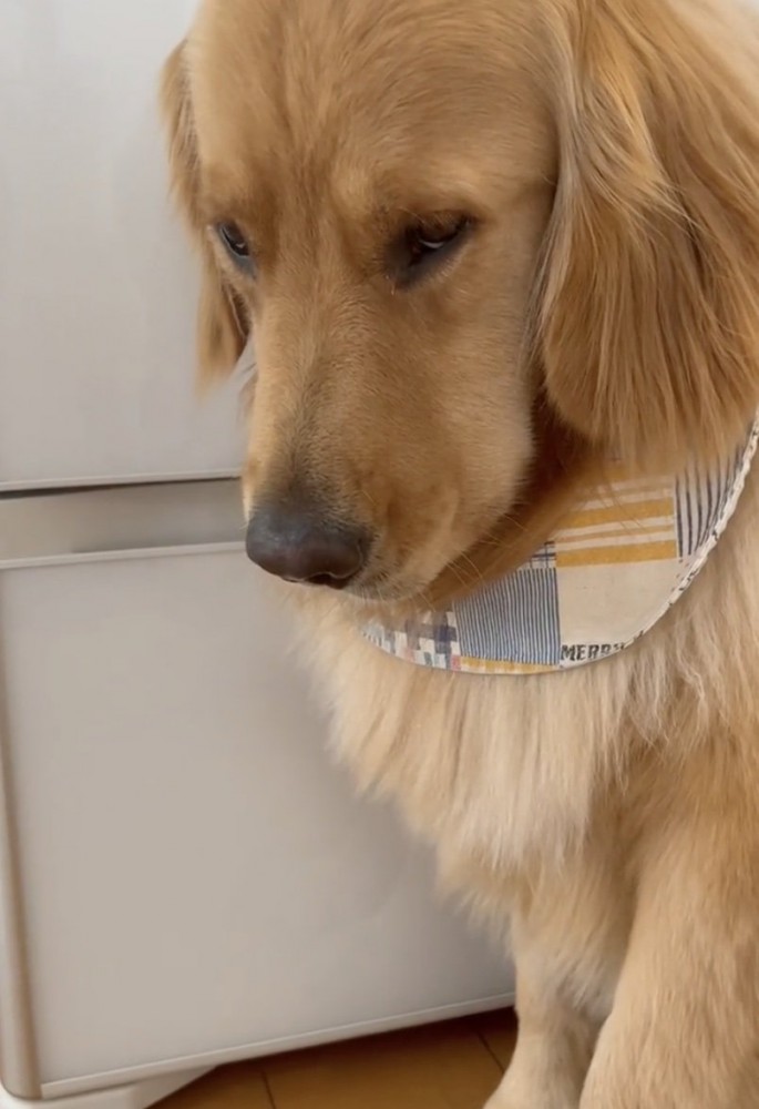 悲壮感は全開…