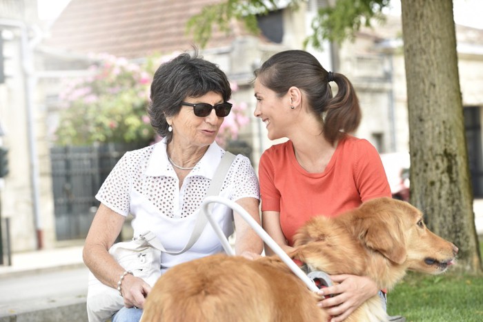 二人の女性と白いハーネスを着けた犬