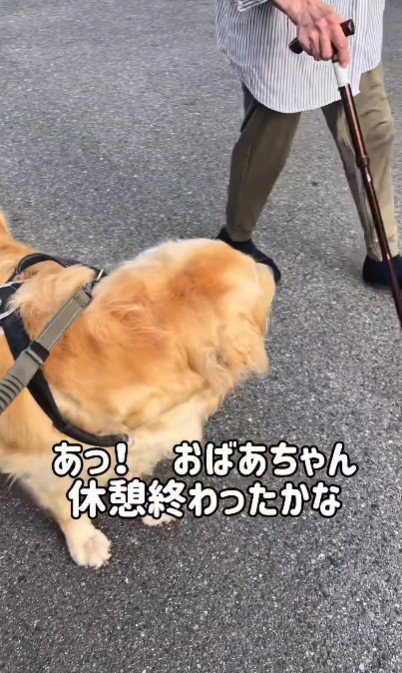 「大丈夫そ？」