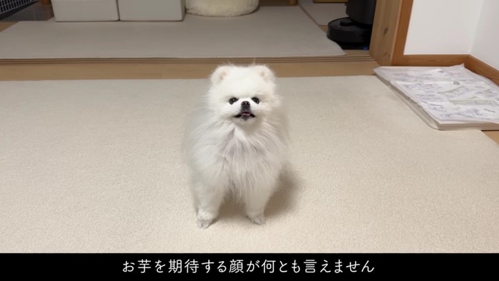 「え!お芋くれるの!」