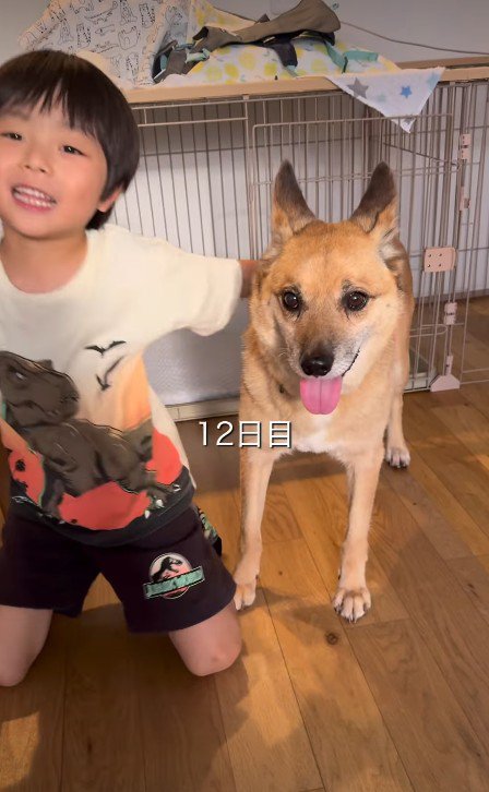 おふとんちゃんのペースを大切に