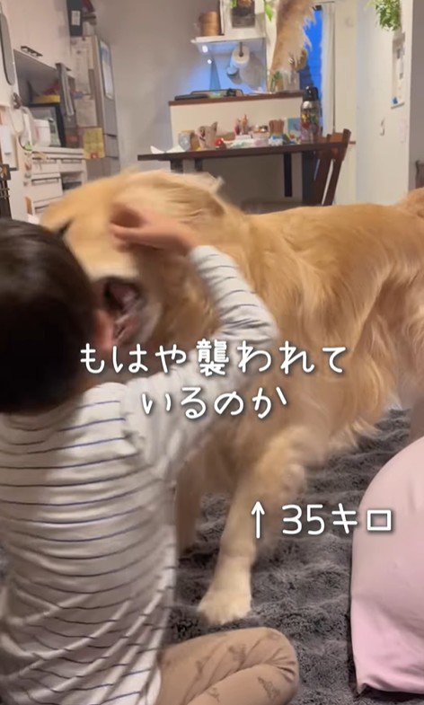 エルくんと男の子6