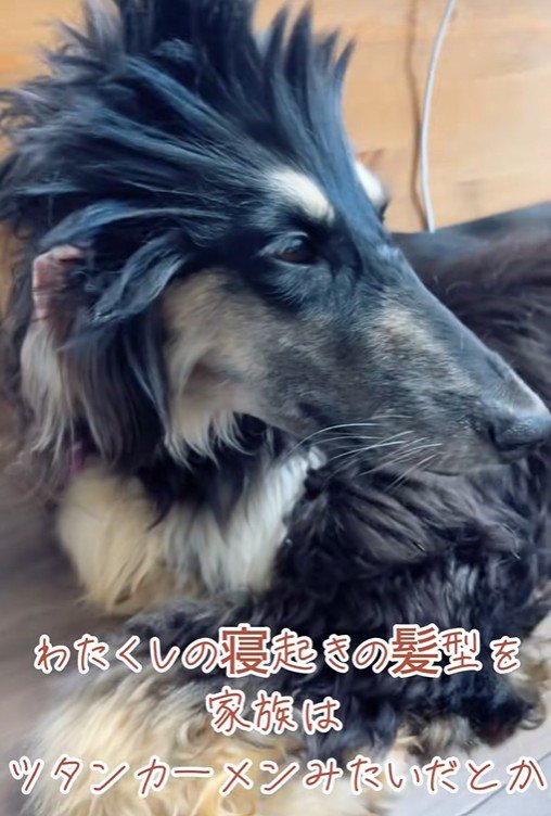 個性的なツンツンヘア！