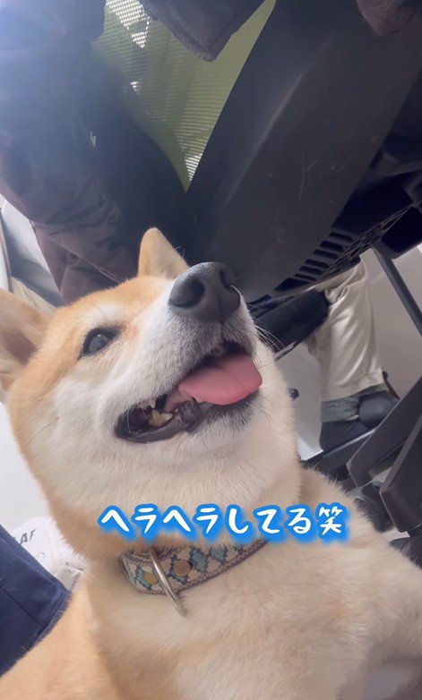 フクちゃんはニコニコ♪