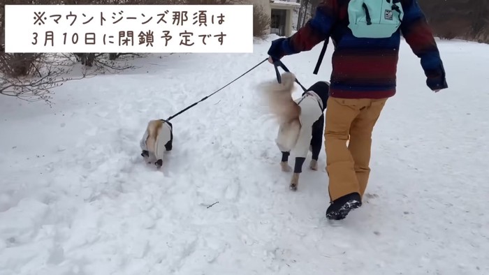 颯爽と歩く2匹…！